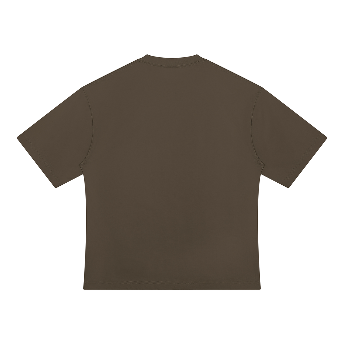 THE ANCIENT GUARDIAN — URSUS MARITIMU Artifact Heavyweight Oversized T-Shirt