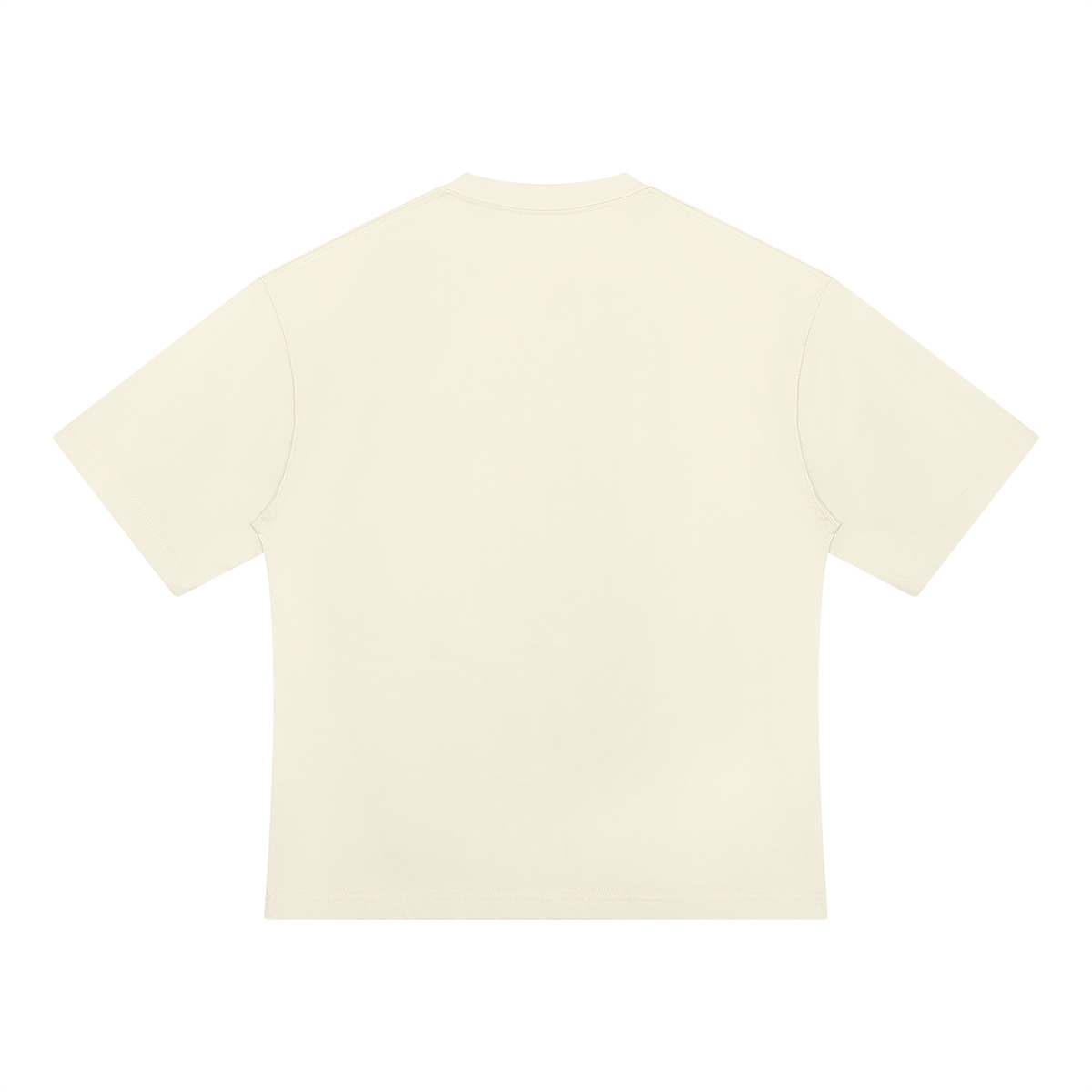 THE ANCIENT GUARDIAN — URSUS MARITIMU Artifact Heavyweight Oversized T-Shirt