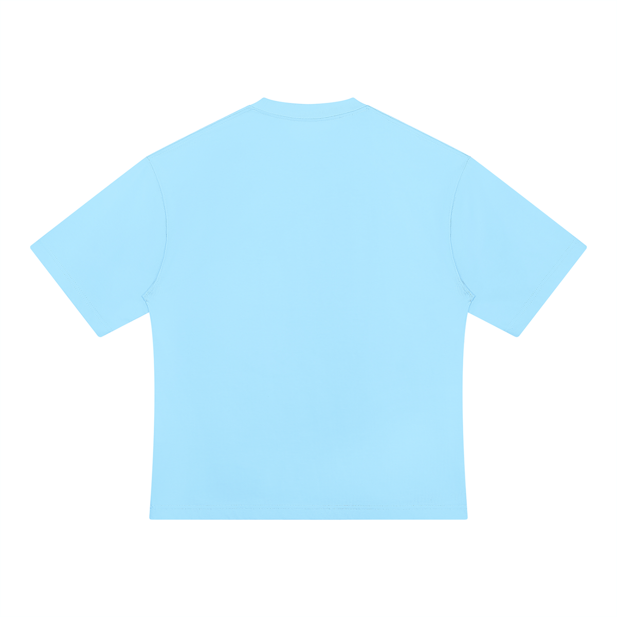 THE FROZEN SENTINEL — URSUS MARITIMU Heavyweight Oversized T-Shirt